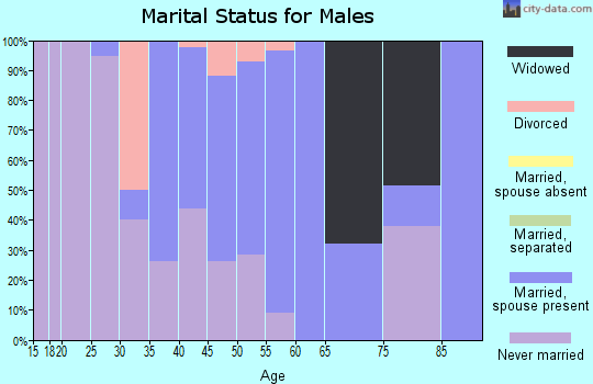 Zip code 13120 marital status for males