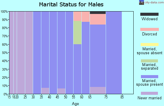 Zip code 13122 marital status for males