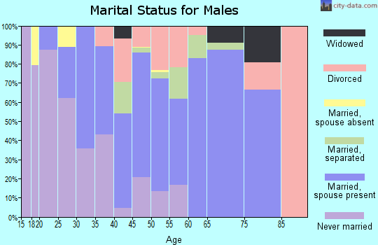 Zip code 13131 marital status for males