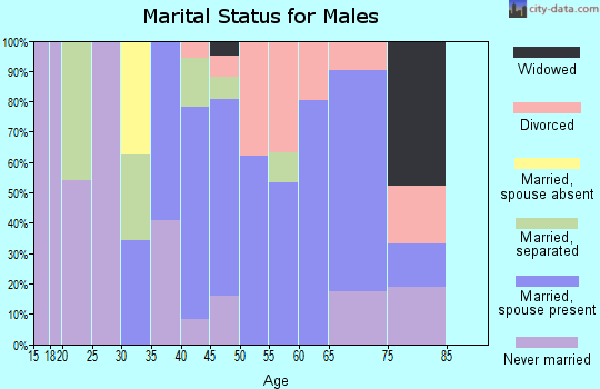 Zip code 13132 marital status for males