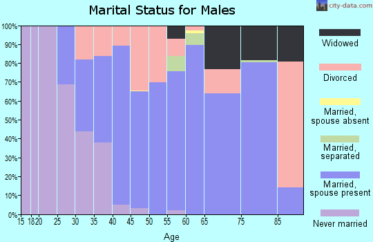 Zip code 13135 marital status for males