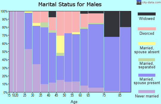Zip code 13140 marital status for males