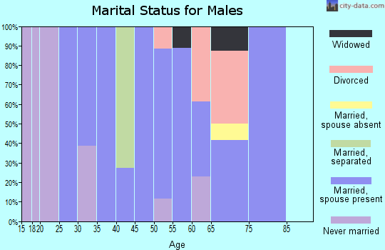 Zip code 13141 marital status for males