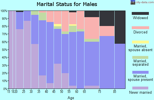 Zip code 13142 marital status for males