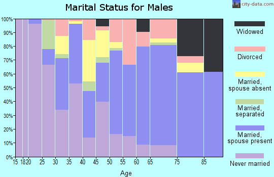 Zip code 13143 marital status for males