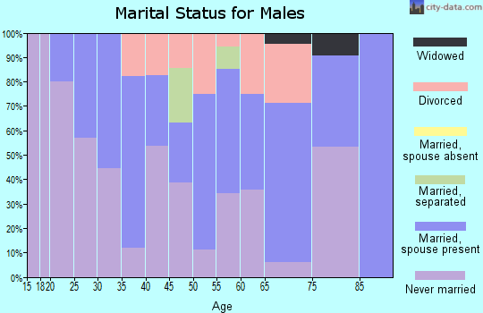 Zip code 13144 marital status for males