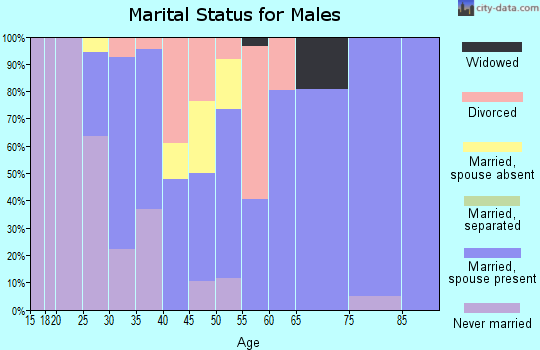 Zip code 13145 marital status for males