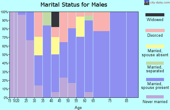 Zip code 13147 marital status for males