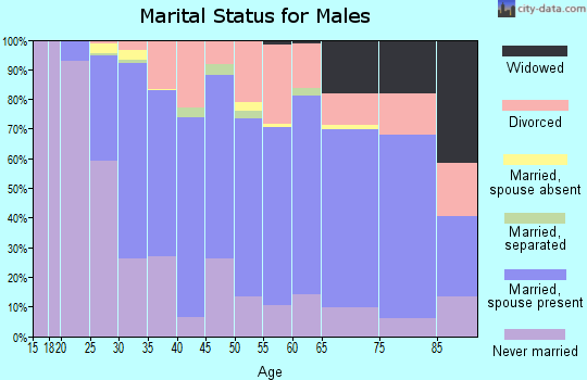 Zip code 13148 marital status for males