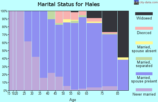 Zip code 13152 marital status for males