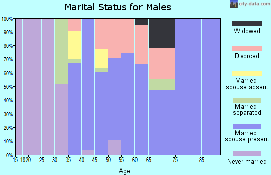 Zip code 13156 marital status for males