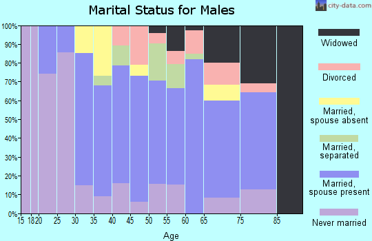 Zip code 13158 marital status for males