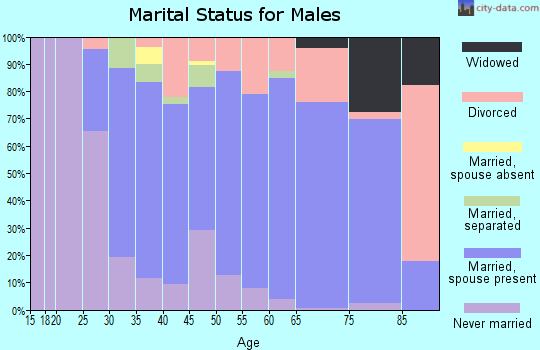 Zip code 13159 marital status for males