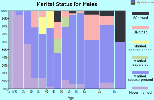 Zip code 13160 marital status for males