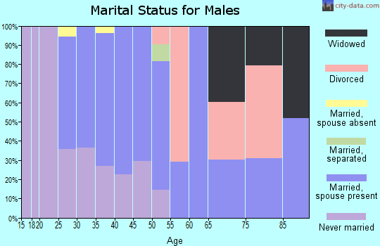 Zip code 13164 marital status for males