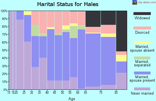 Zip code 13165 marital status for males