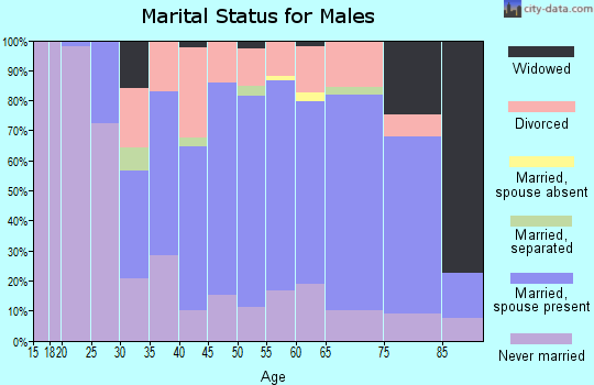 Zip code 13166 marital status for males