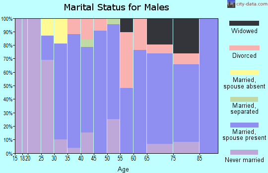 Zip code 13167 marital status for males