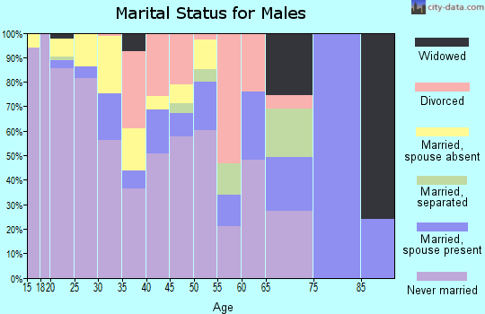 Zip code 13202 marital status for males