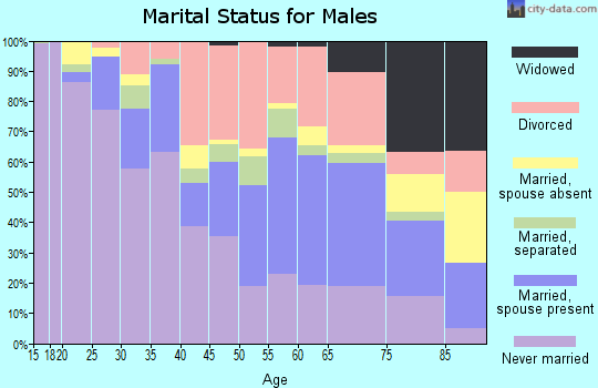 Zip code 13203 marital status for males