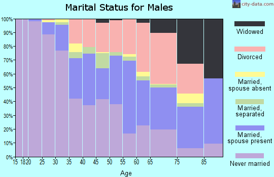 Zip code 13204 marital status for males