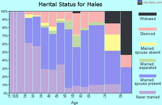 Zip code 13207 marital status for males