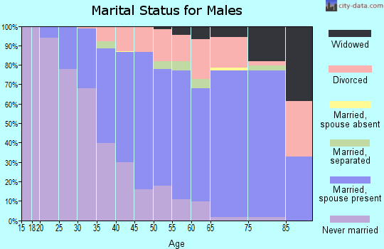 Zip code 13209 marital status for males