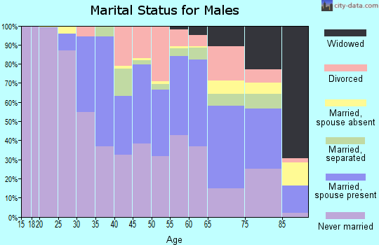 Zip code 13210 marital status for males