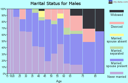 Zip code 13211 marital status for males