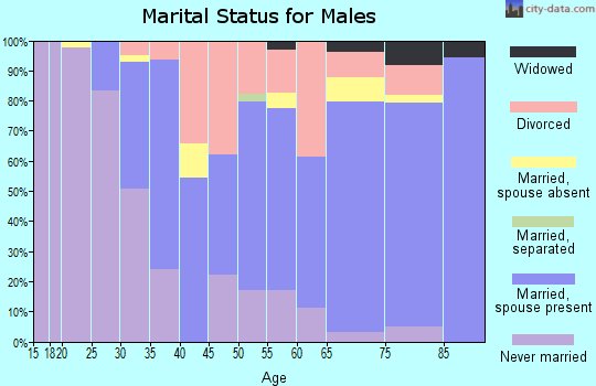 Zip code 13214 marital status for males