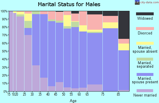 Zip code 13215 marital status for males
