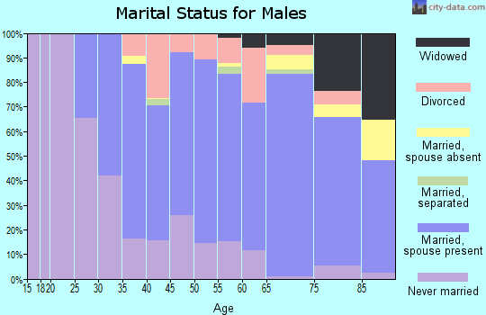 Zip code 13219 marital status for males