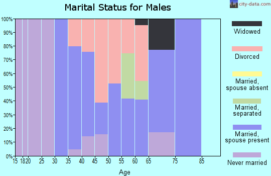 Zip code 13308 marital status for males
