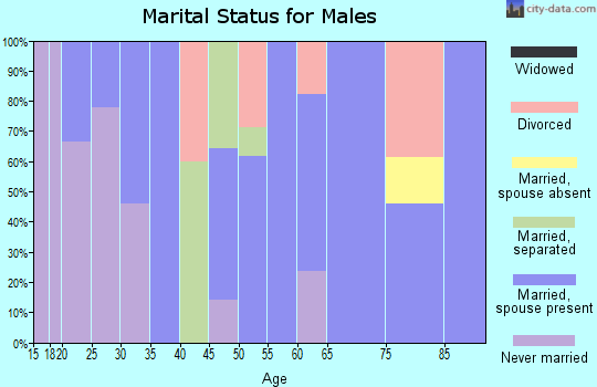 Zip code 13313 marital status for males