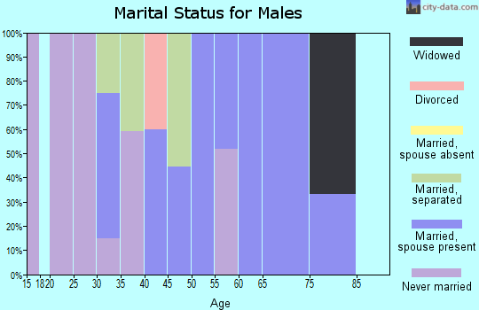 Zip code 13314 marital status for males