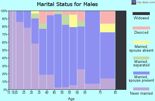 Zip code 13315 marital status for males