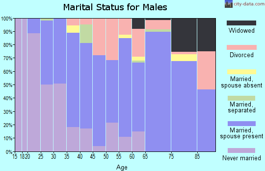 Zip code 13317 marital status for males