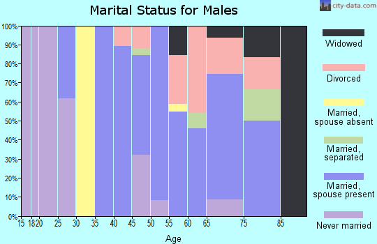 Zip code 13318 marital status for males
