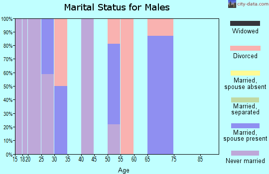 Zip code 13319 marital status for males