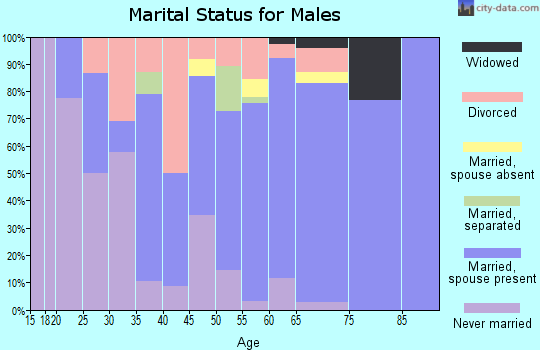 Zip code 13320 marital status for males
