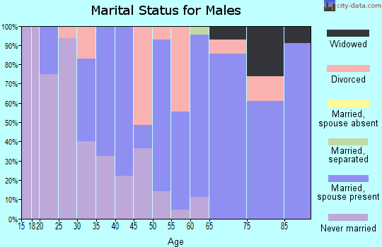 Zip code 13322 marital status for males