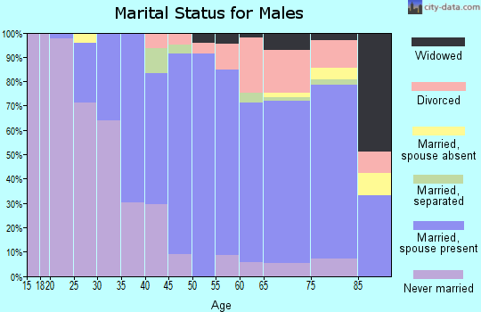 Zip code 13323 marital status for males