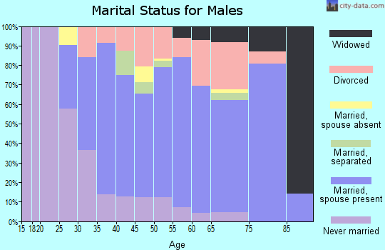 Zip code 13324 marital status for males