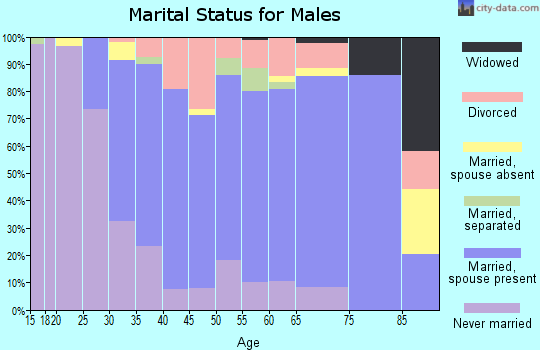 Zip code 13326 marital status for males