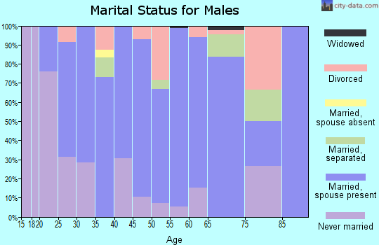 Zip code 13327 marital status for males