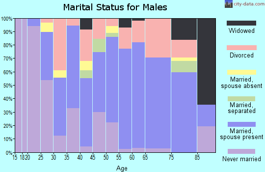 Zip code 13329 marital status for males