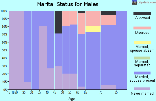 Zip code 13338 marital status for males