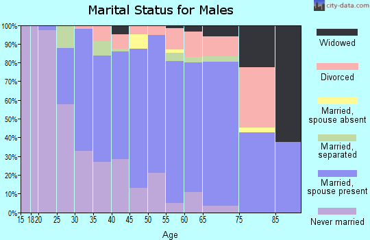 Zip code 13339 marital status for males