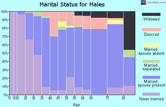 Zip code 13340 marital status for males