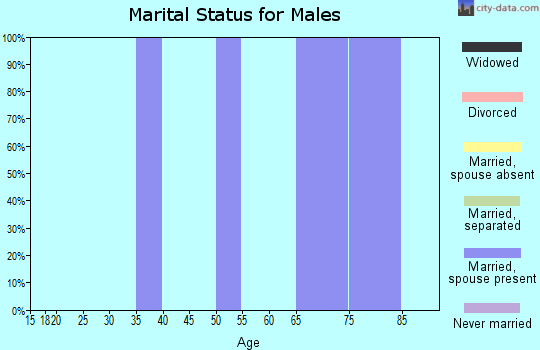 Zip code 13341 marital status for males